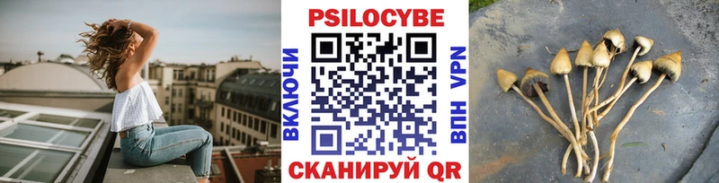 Псилоцибиновые грибы ЛСД  наркота  Гусь-Хрустальный 